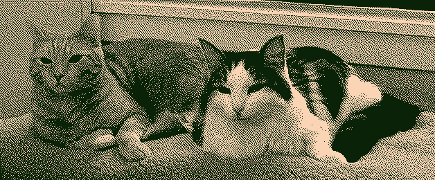 Butternut and Lea sitting next to each other